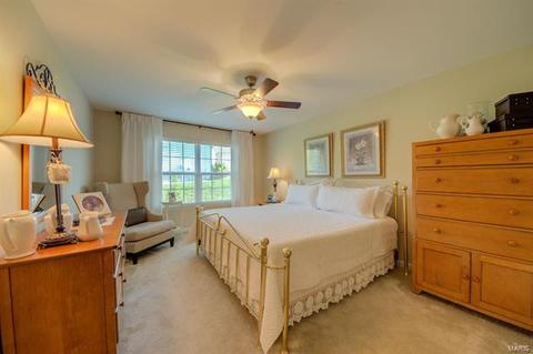 929 Daffodil Ridge Dr, O'fallon, MO 63366 photo 17