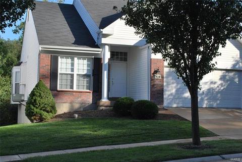 928 Gandolf Way, Eureka, MO 63025 photo 1