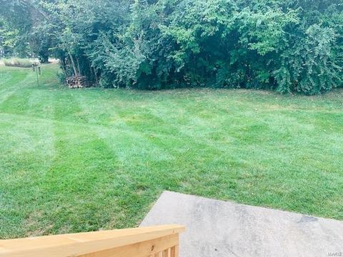 406 Flowering Magnolia Dr, O'fallon, MO 63366 photo 4