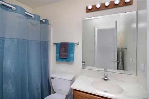 71 Jacqueline Cir, O'fallon, MO 63368 photo 11