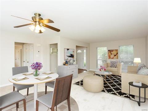 12 Clearspring Ct, O'fallon, MO 63368 photo 20