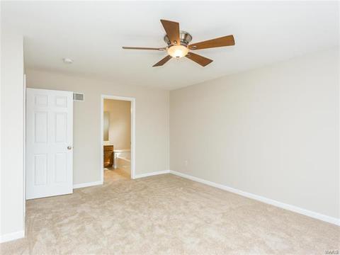 12 Clearspring Ct, O'fallon, MO 63368 photo 27