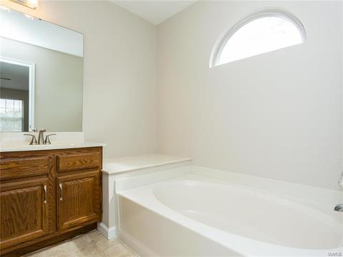 12 Clearspring Ct, O'fallon, MO 63368 photo 28