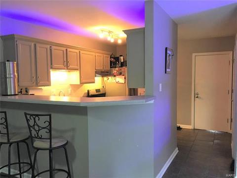 1300 Holgate Dr #E1, Ballwin, MO 63021 photo 4