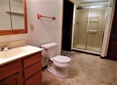 525 Blazedwood Dr, Ballwin, MO 63021 photo 35
