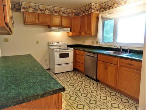 525 Blazedwood Dr, Ballwin, MO 63021 photo 10