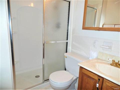 525 Blazedwood Dr, Ballwin, MO 63021 photo 22