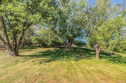 809 Samone Ct, Manchester, MO 63021 photo 19