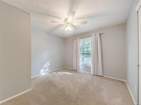 809 Samone Ct, Manchester, MO 63021 photo 12