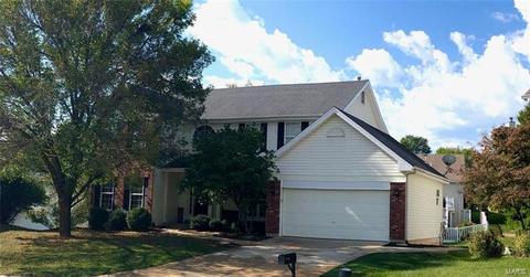 327 Summer Haven Ct, O'fallon, MO 63368 photo 36