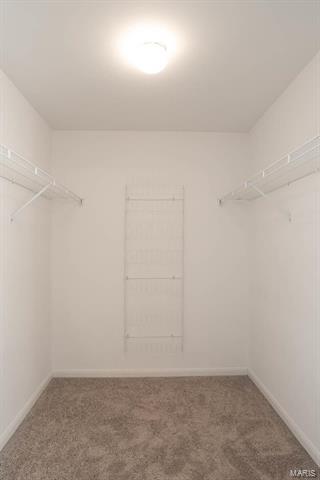 327 Summer Haven Ct, O'fallon, MO 63368 photo 22