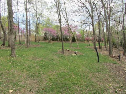 722 New Ballwin, Ballwin, MO 63021 photo 11