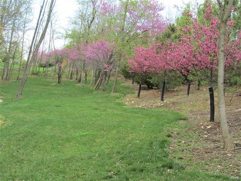 722 New Ballwin, Ballwin, MO 63021 photo 13