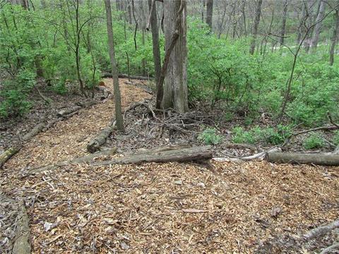 722 New Ballwin, Ballwin, MO 63021 photo 15