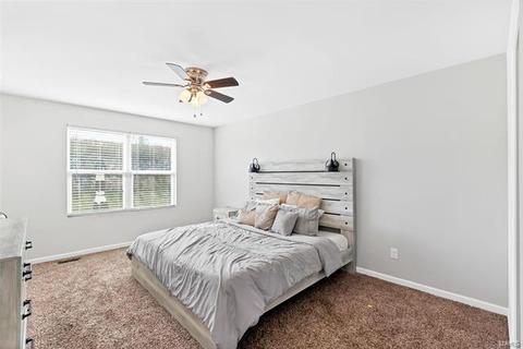 48 Birch Brook Ct, O'fallon, MO 63366 photo 16