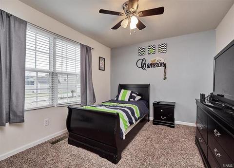 48 Birch Brook Ct, O'fallon, MO 63366 photo 20