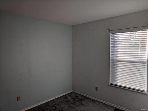 1117 Sunset Green Dr, O'fallon, MO 63366 photo 28