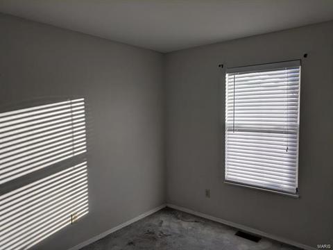 1117 Sunset Green Dr, O'fallon, MO 63366 photo 23