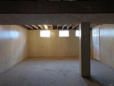 1117 Sunset Green Dr, O'fallon, MO 63366 photo 54