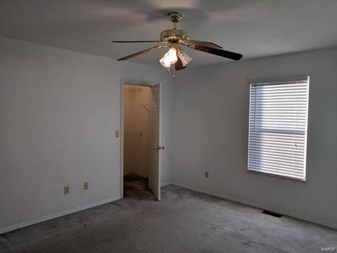 1117 Sunset Green Dr, O'fallon, MO 63366 photo 34