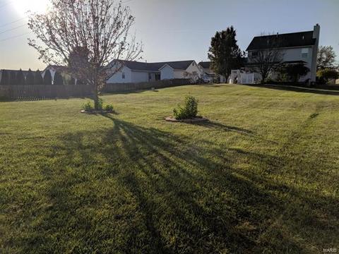 1117 Sunset Green Dr, O'fallon, MO 63366 photo 5