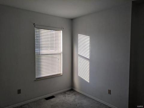 1117 Sunset Green Dr, O'fallon, MO 63366 photo 31