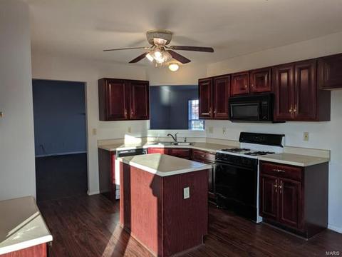 1117 Sunset Green Dr, O'fallon, MO 63366 photo 17