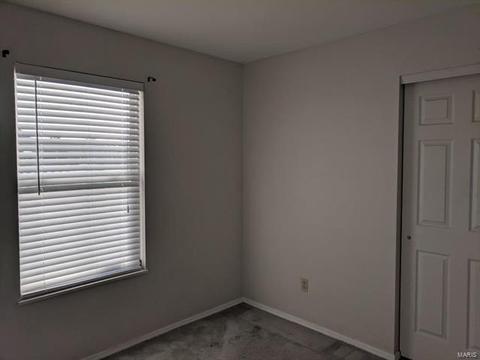 1117 Sunset Green Dr, O'fallon, MO 63366 photo 24