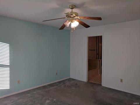 1117 Sunset Green Dr, O'fallon, MO 63366 photo 36