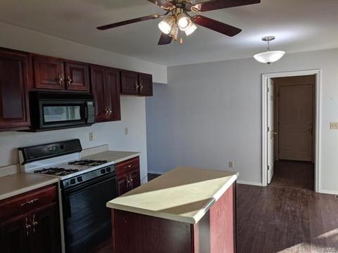 1117 Sunset Green Dr, O'fallon, MO 63366 photo 18