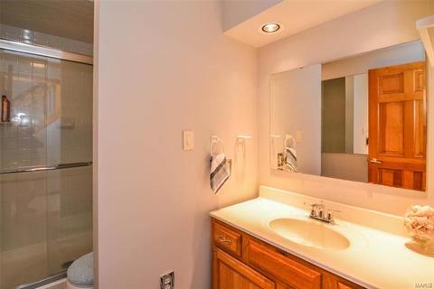 673 Carman Mdws, Ballwin, MO 63021 photo 41