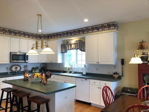 14005 Eagle Manor Ct, Chesterfield, MO 63017 photo 14