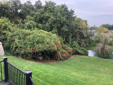 14005 Eagle Manor Ct, Chesterfield, MO 63017 photo 38