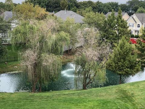 14005 Eagle Manor Ct, Chesterfield, MO 63017 photo 39