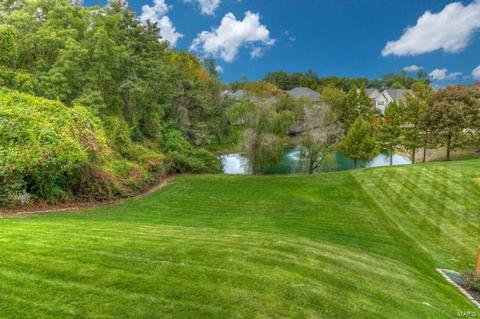 14005 Eagle Manor Ct, Chesterfield, MO 63017 photo 37