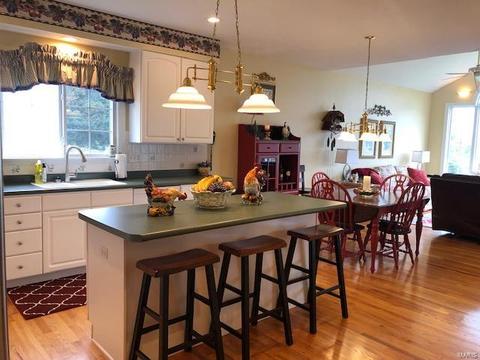 14005 Eagle Manor Ct, Chesterfield, MO 63017 photo 15