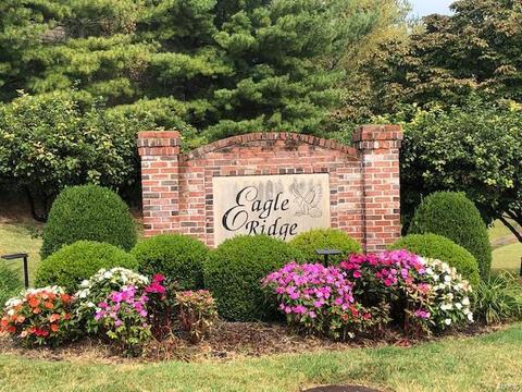 14005 Eagle Manor Ct, Chesterfield, MO 63017 photo 41