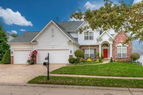 14005 Eagle Manor Ct, Chesterfield, MO 63017 photo 1