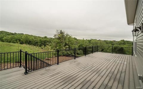 100 Stewards Ln, Eureka, MO 63025 photo 24