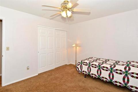 11 Pinehurst Ridge Ct, O'fallon, MO 63366 photo 19