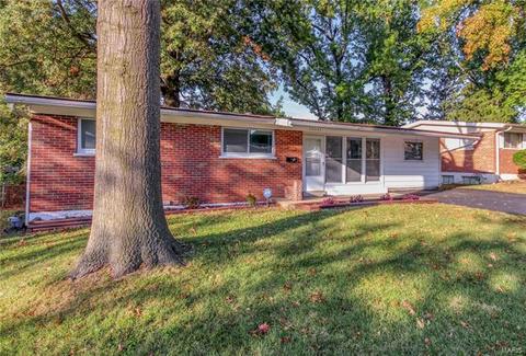 10531 Monarch Dr, Saint Louis, MO 63136 photo 2