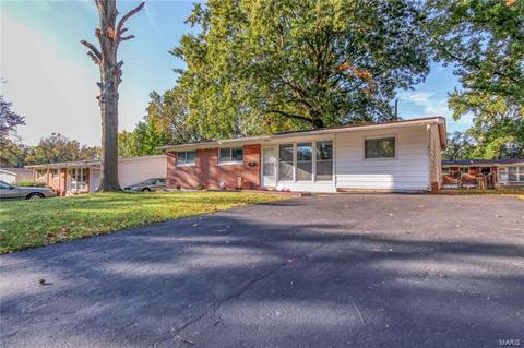 10531 Monarch Dr, Saint Louis, MO 63136 photo 3