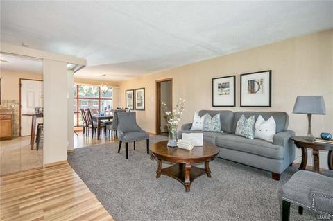 10531 Monarch Dr, Saint Louis, MO 63136 photo 6