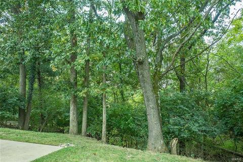 846 Forest Village Dr, Ballwin, MO 63021 photo 29