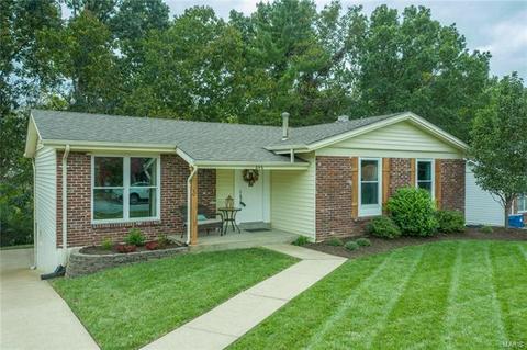 846 Forest Village Dr, Ballwin, MO 63021 photo 1