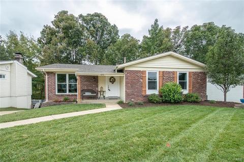 846 Forest Village Dr, Ballwin, MO 63021 photo 23