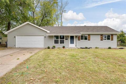 411 Saint Patrick Dr, O'fallon, MO 63366 photo 3
