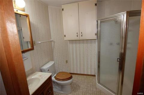 1449 Boly Ln, Ballwin, MO 63021 photo 20