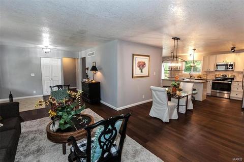 421 Iron Warrior Ln, Manchester, MO 63011 photo 4