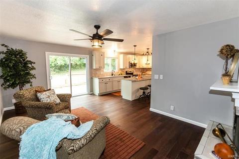 421 Iron Warrior Ln, Manchester, MO 63011 photo 9